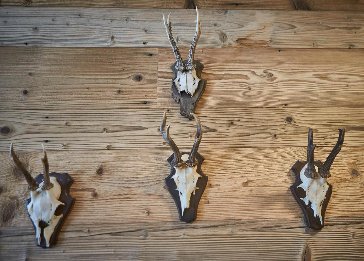 Glemm Lodge Apartments - Joker Card Im Sommer Inklusive Saalbach-Hinterglemm Eksteriør bilde
